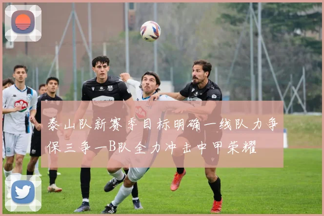 泰山队新赛季目标明确一线队力争保三争一B队全力冲击中甲荣耀